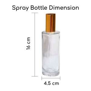 Empty 100 ml Spray Bottle